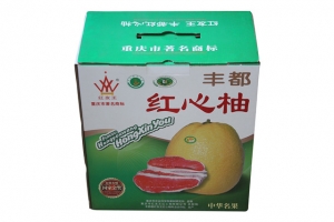 身邊常常出現塑料袋承重不行問題，你有真正了解過嗎